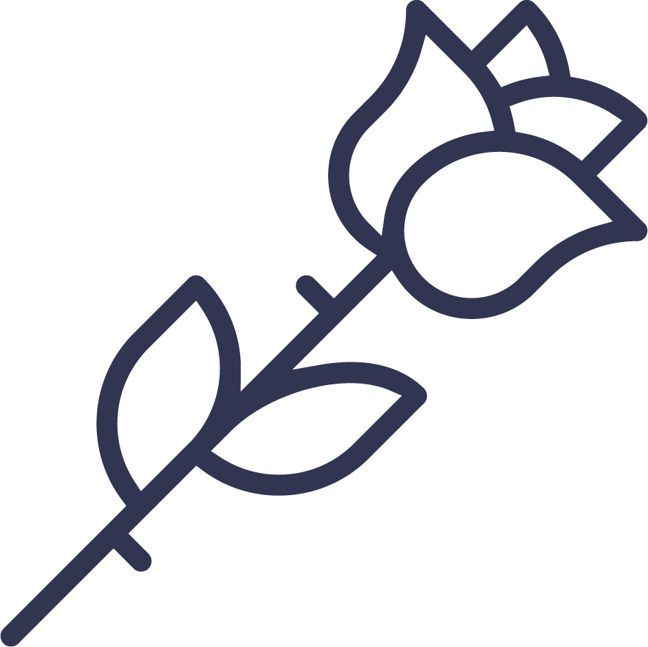 s5 icon